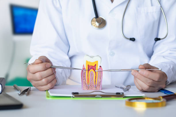 Best 24-Hour Emergency Dentist in Holly Springs, NC